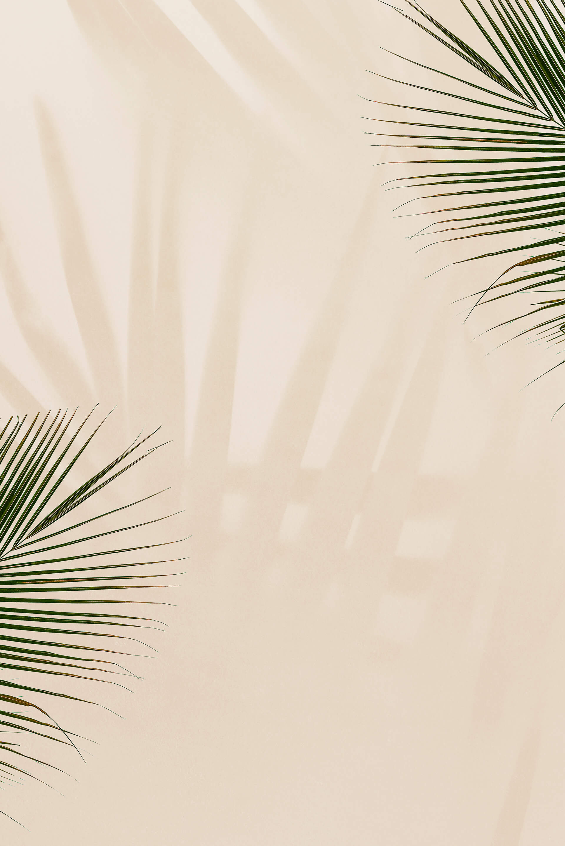 baturalposma.com web sitemiz yapım aşamasındadır.